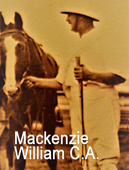 Willie Mackenzie
